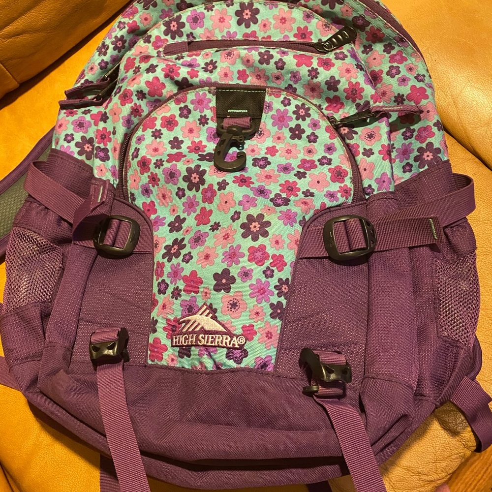 High Sierra bag back